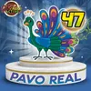 Pavo Real
