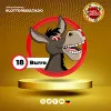 Burro