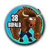 Bufalo